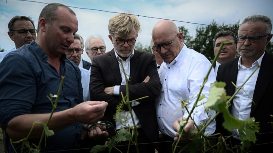 Catastrophes climatiques: Fesneau promet la "solidarité nationale" aux agriculteurs 