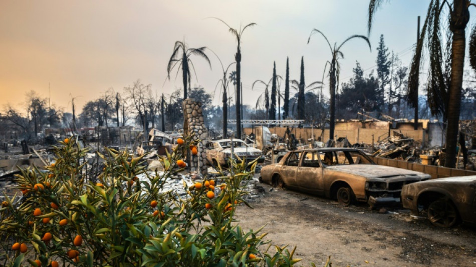 Face aux pillages, les rescapés des incendies de Los Angeles s'improvisent en justiciers