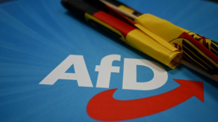 AfD im "Politbarometer" erstmals seit November 2023 wieder mit leichtmn Zugewinn