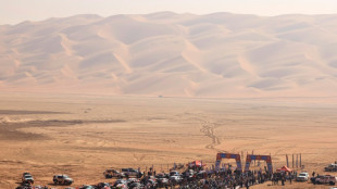 Schareina wins penultimate bike stage but Sanders on course for Dakar victory