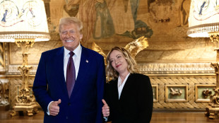 Trump, 'Meloni grande leader, Italia alleato importante'