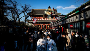 Japan to allow mass tourism, but only in tour groups