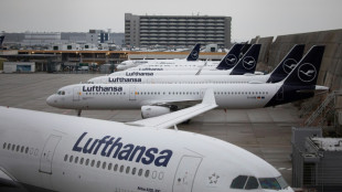 Lufthansa returns to annual profit after Covid losses 