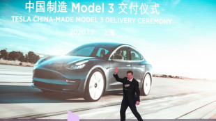 Tesla, BMW take EU to court over China EV tariffs