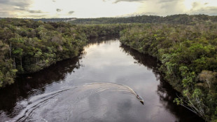 Amazon tribes win lawsuit over carbon credits in Colombia