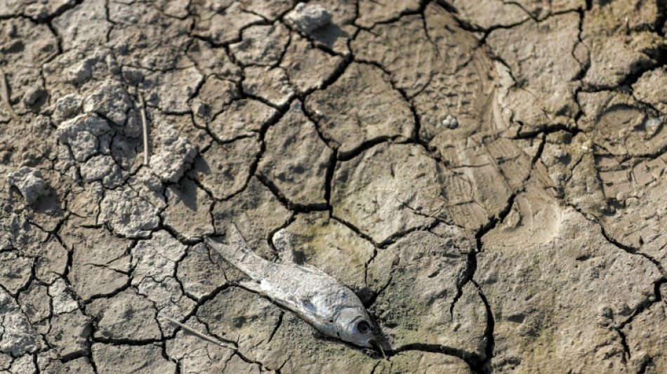 Expertenrat bewertertet deutsche Klimaschutzmaßnahmen als unzureichreichend