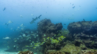 Expertos analizarán en Costa Rica diagnóstico de salud de los océanos