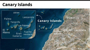 Rescuers resume search for migrant boats off Canary Isles