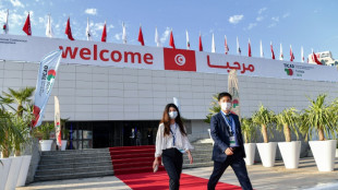 Tunis hosts Japan-Africa investment conference