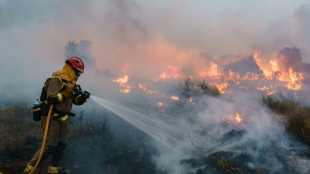 Controlado un gran incendio en el noroeste de España tras la ola de calor