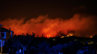 Grécia ordena evacuação por incêndios florestais que se aproximam de Atenas