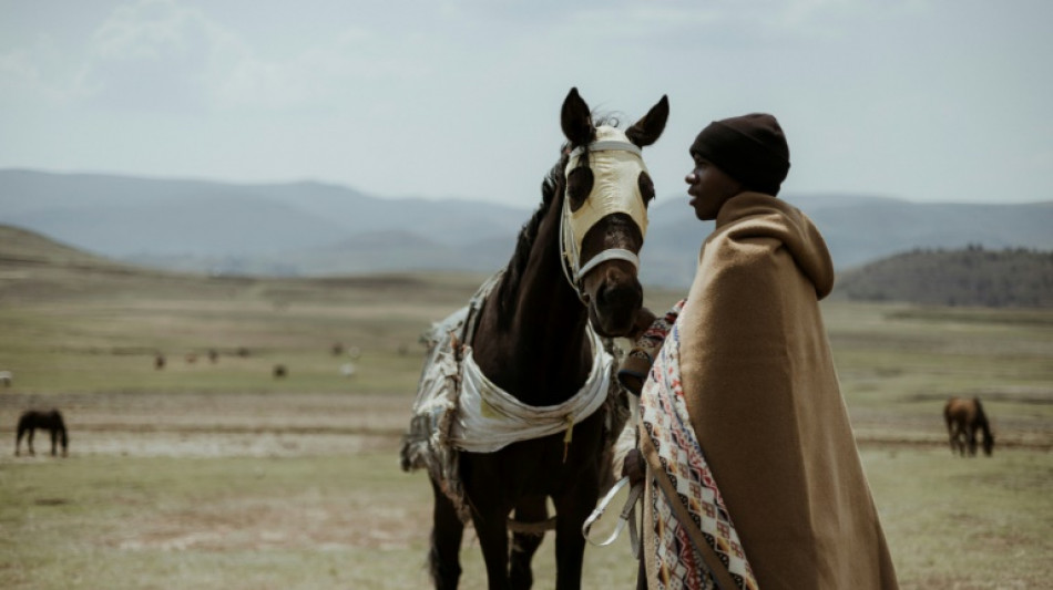 Carreras a caballo en la montaña, una tradición centenaria en el pequeño reino de Lesoto