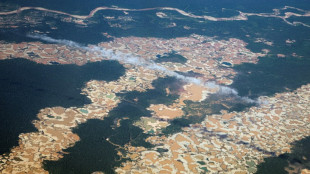 A sede do ouro no mundo consome a Amazônia peruana