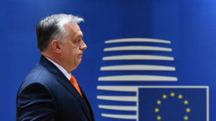 Ungarn übernimmt turnusgemäß den EU-Ratsvorsitz