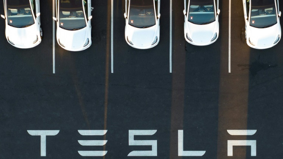 Tesla looking at building lithium refinery in Texas