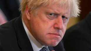 Partygate: l'avenir politique de Boris Johnson en jeu