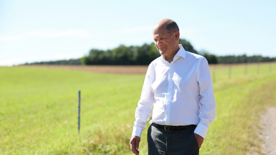 Kanzler Scholz will im Urlaub "einfach mal in die Sonne gucken"