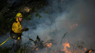 Fogo contra fogo: Califórnia combate incêndios florestais com queimadas controladas