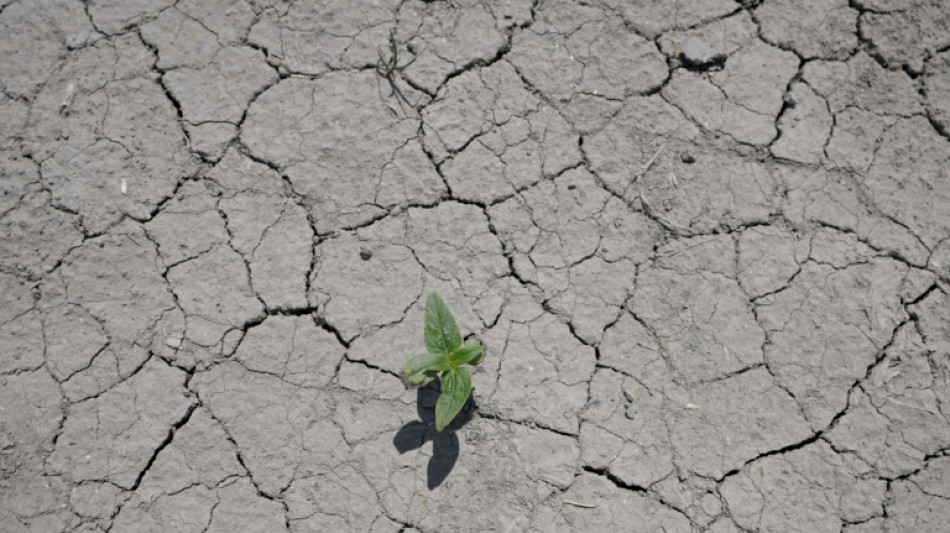 France vows cash for urban vegetation as heatwave hits