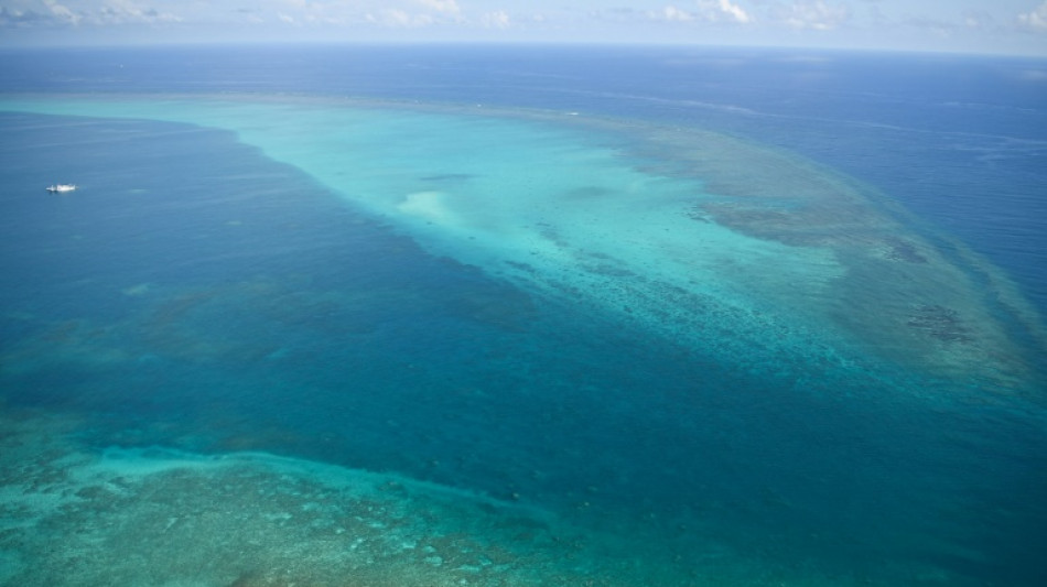 Philippines vows to remove future barriers at disputed reef 