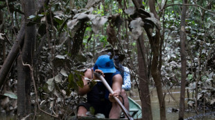 Zweiter Verdächtiger im Fall von vermisstem Journalisten in Brasilien festgenommen