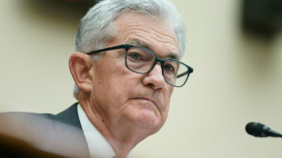 Fed chief says more rate hikes likely but at slower pace