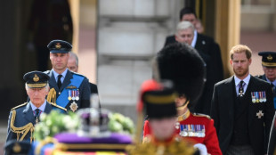 History evoked as William, Harry walk behind queen's coffin