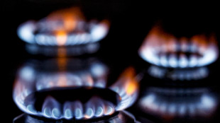 Il gas chiude in rialzo ad Amsterdam (+1,3%)