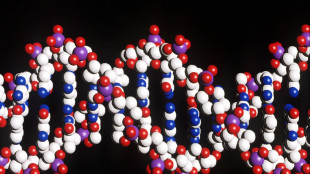 Cinquemila genomi antichi per riscrivere la storia dell'umanità