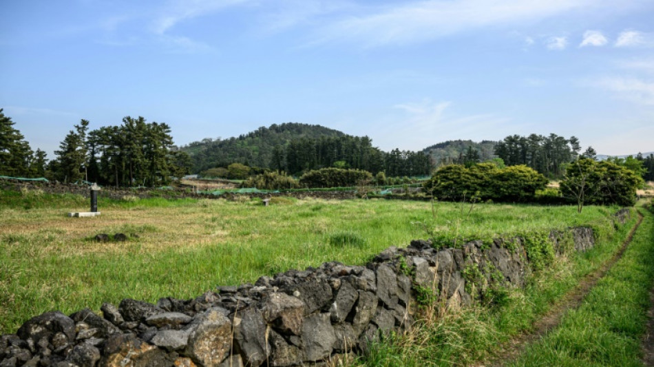 Graveyard sheds light on Kim Jong Un's South Korean heritage