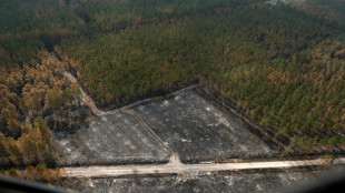 Les deux incendies de Gironde "désormais fixés"