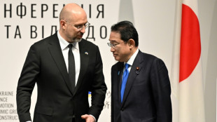 Ukraine PM seeks reconstruction help in Japan