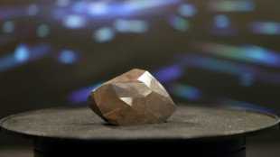 El mayor diamante negro natural del mundo se subasta por 3,16 millones de libras