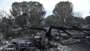 French fire near Spanish border contained but dangerous: officials