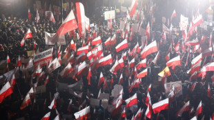 Polish populists rally against govt reforms as president pardons ex-MPs