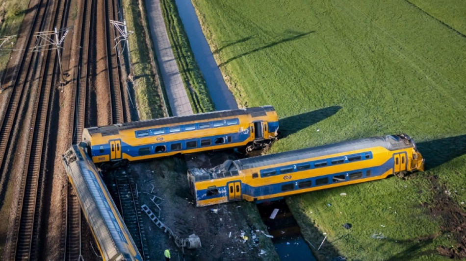 One dead after Dutch train hits crane