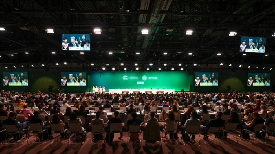 COP28 propõe 'redução' das energias fósseis em rascunho