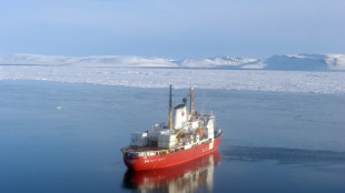Melting ice no guarantee of smooth sailing in fabled Arctic crossing: study