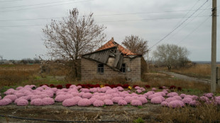 Vice tightens around remaining civilians in eastern Ukraine 