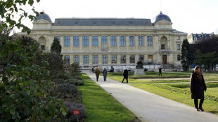 Le Musée de l'Homme explore l'odyssée humaine des migrations