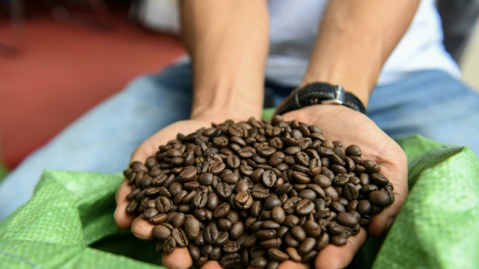 Vietnam's robusta: the go-to coffee bean in a warmer world?