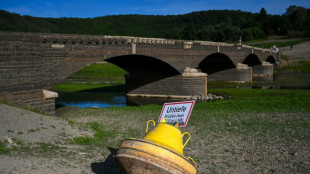 Vor UN-Klimakonferenz in Baku: Wetterdienst warnt vor Vervielfachung von Hitzetagen