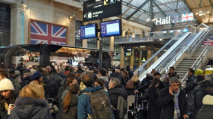 Wildcat Channel tunnel strike blocks France-UK train travel