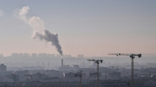 Nearly entire global population breathing polluted air: WHO