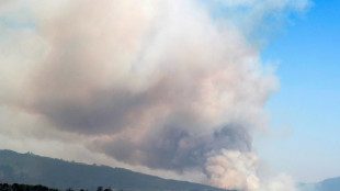 Incendios forestales en zona centro sur de Chile dejan al menos cuatro muertos