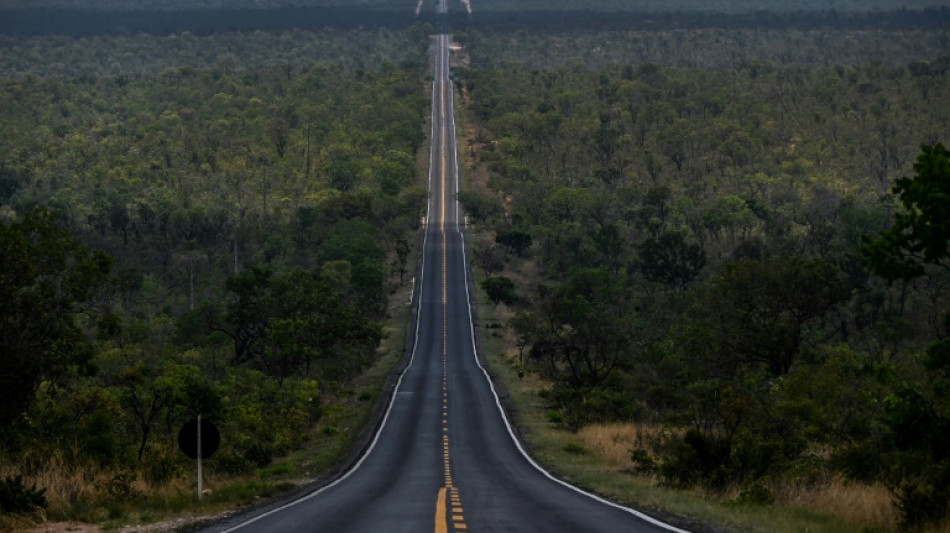 Deforestation in Brazil's Cerrado higher than in Amazon: report