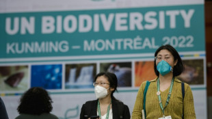 China se dispone a presentar un compromiso para salvar la biodiversidad