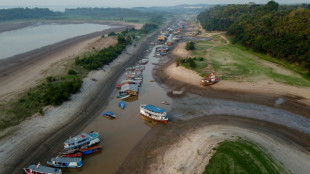 Climate change behind extreme Amazon drought: study