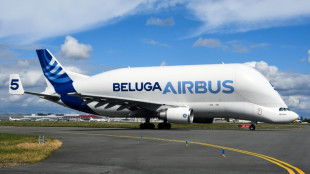 Beached whales: Airbus grounds its massive Beluga cargo flights