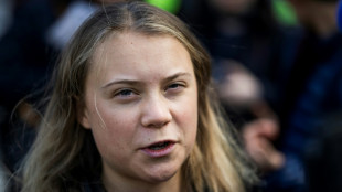 Climat: Greta Thunberg prête à "passer le mégaphone" à d'autres